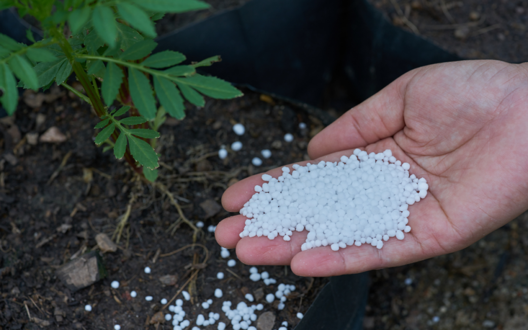 Selecting the Right Valves for Urea Processes: Key Considerations and Best Practices