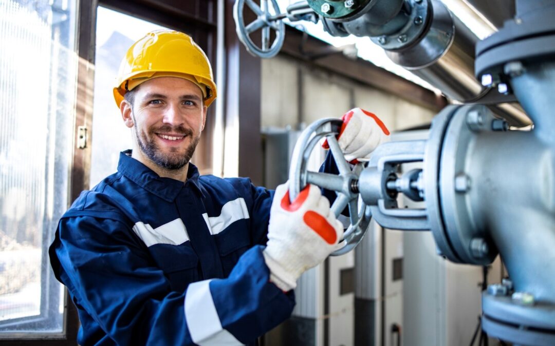 La vocation sociale d’une entreprise : perspectives de dirigeants canadiens